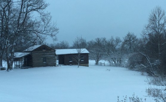 Kathryn's IUD Insertion #1