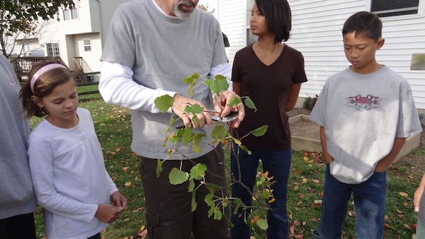 Home Addition - Goodbye G'pa Tree #5