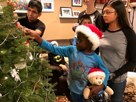 Christmas Tree Day #17