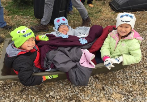 Christmas Tree Day #4