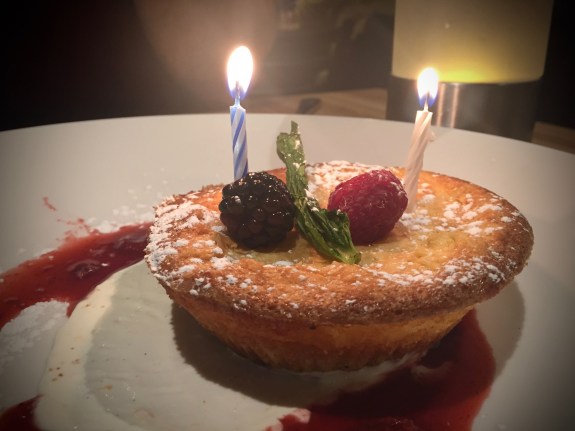 Cooper's Hawk - Late B'day 2016 Celebrations #4